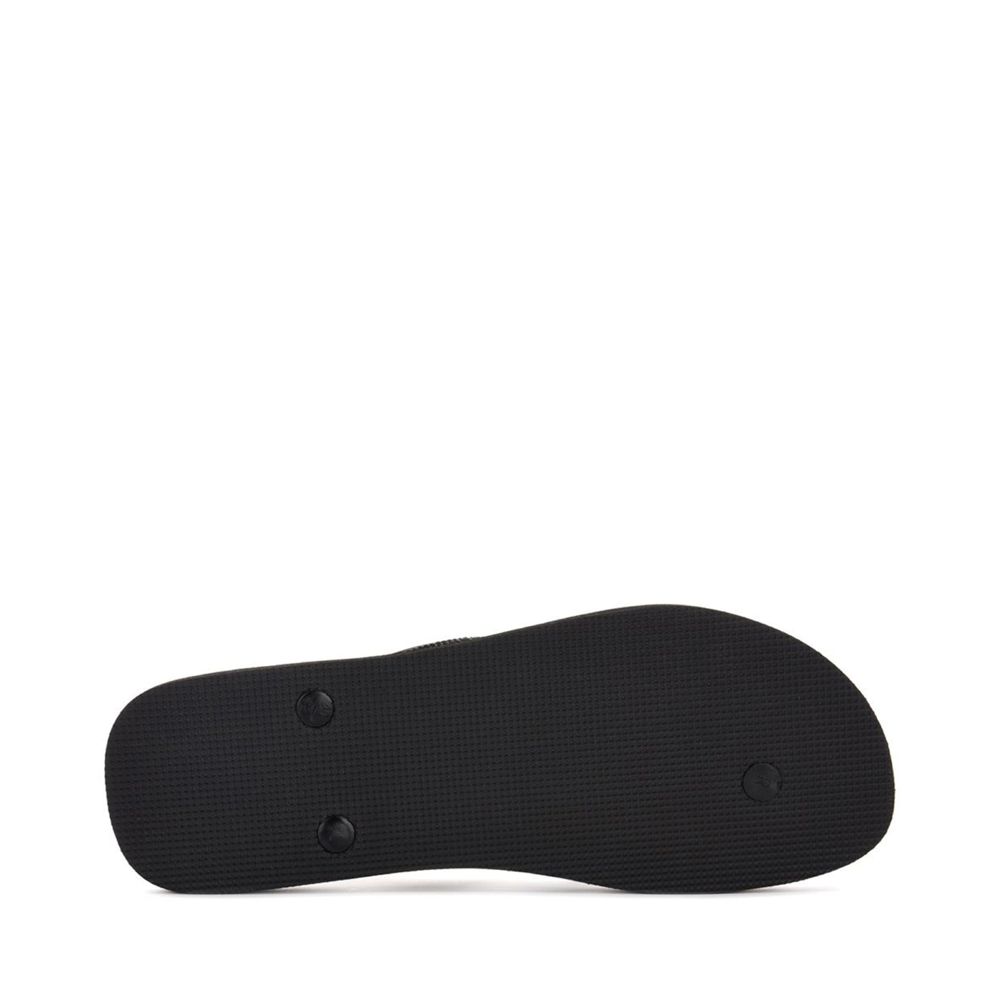 4121 FANRBRM - PALMS BLACK