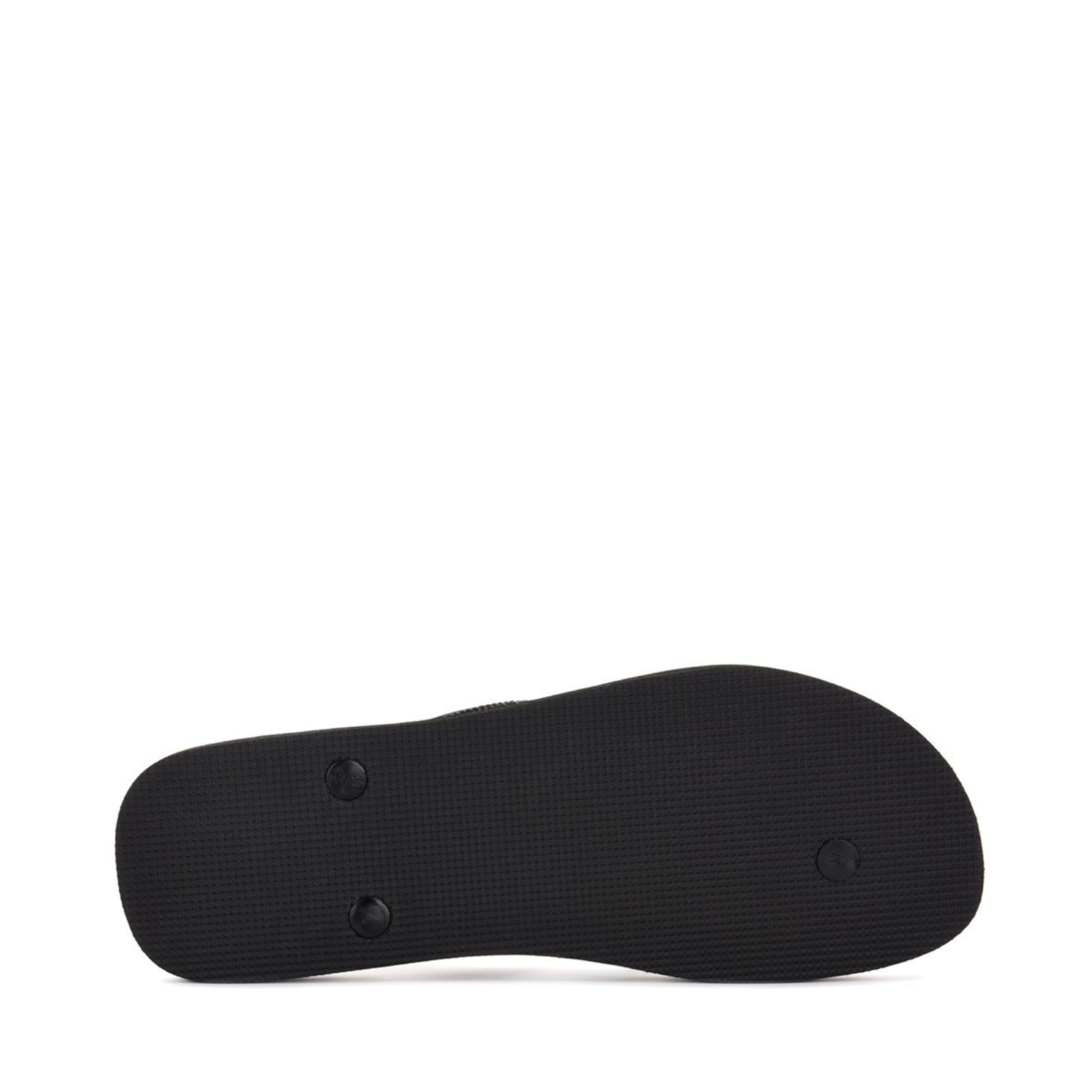 4121 FANRBRM - PALMS BLACK