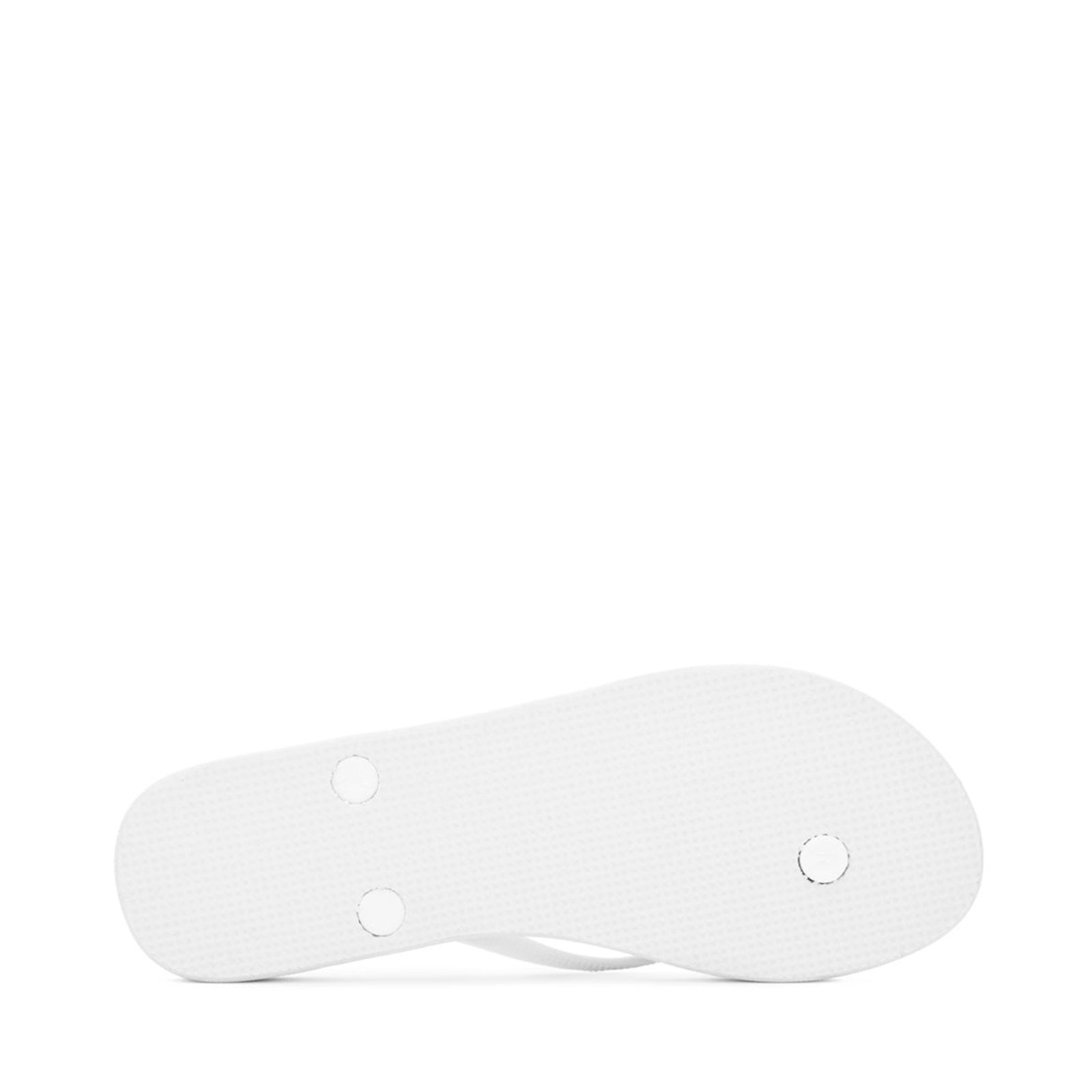 4121 FANRBRW - PALMS WHITE